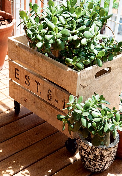 Adoro Arquitetura_Lulu Andrade_Caixa de feira_02