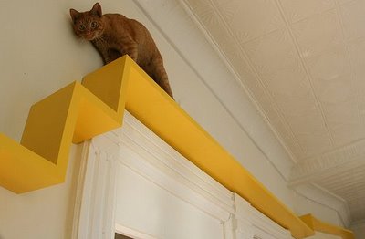 Adoro Arquitetura_Lulu Andrade_Gatos