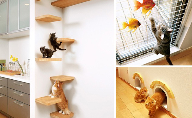 Adoro Arquitetura_Lulu Andrade_Gatos2