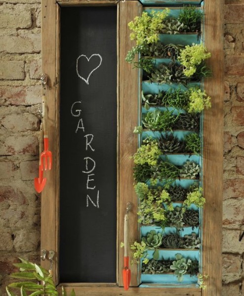 Adoro Arquitetura_Lulu Andrade_Suculentas