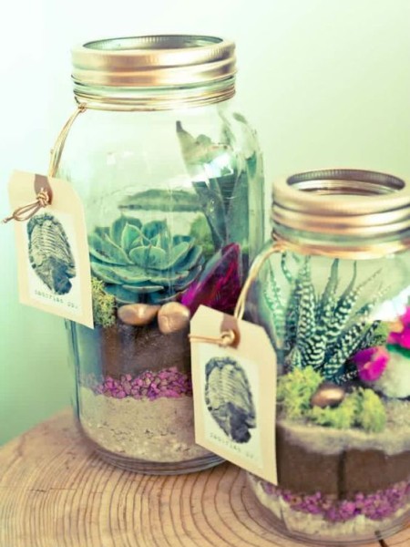 Adoro Arquitetura_Lulu Andrade_Suculentas_11